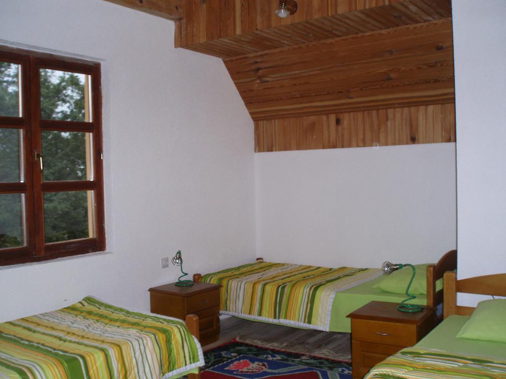 Guest House Tara Canyon Pljevlja Kamer foto