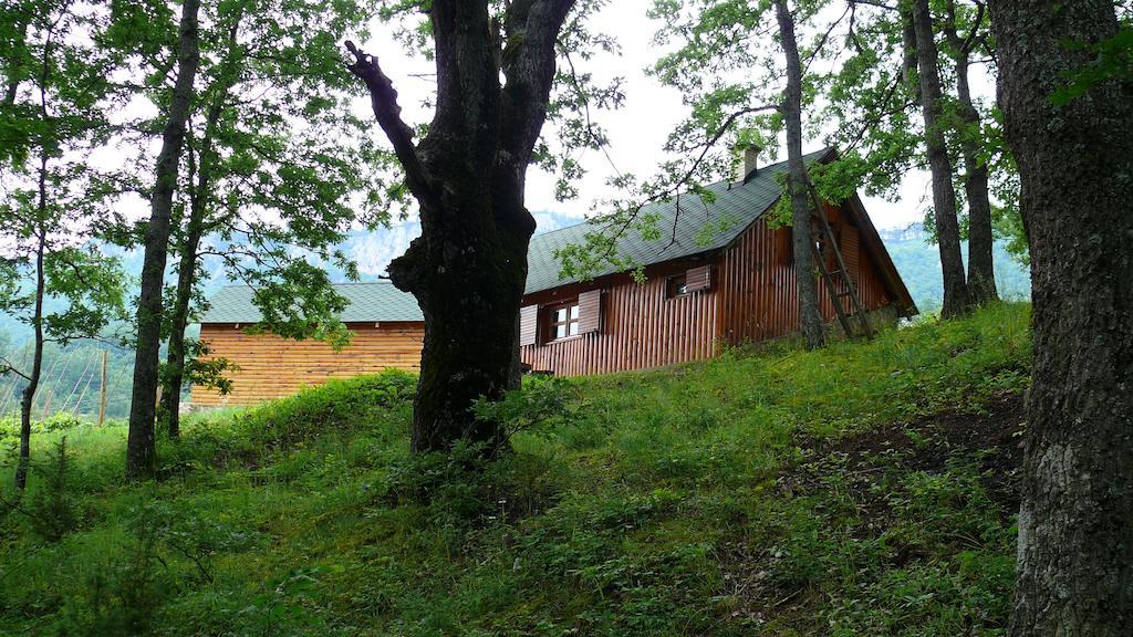 Guest House Tara Canyon Pljevlja Buitenkant foto