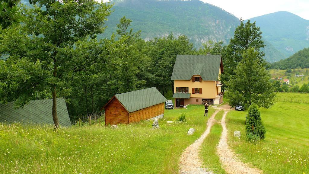 Guest House Tara Canyon Pljevlja Buitenkant foto