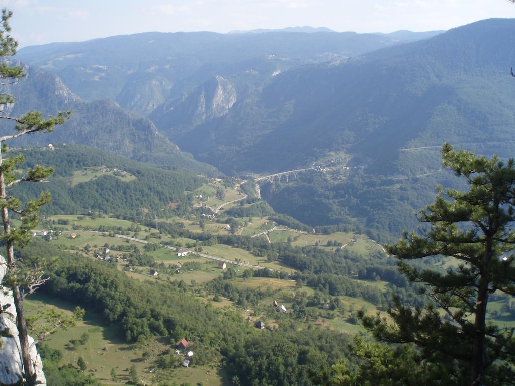 Guest House Tara Canyon Pljevlja Buitenkant foto