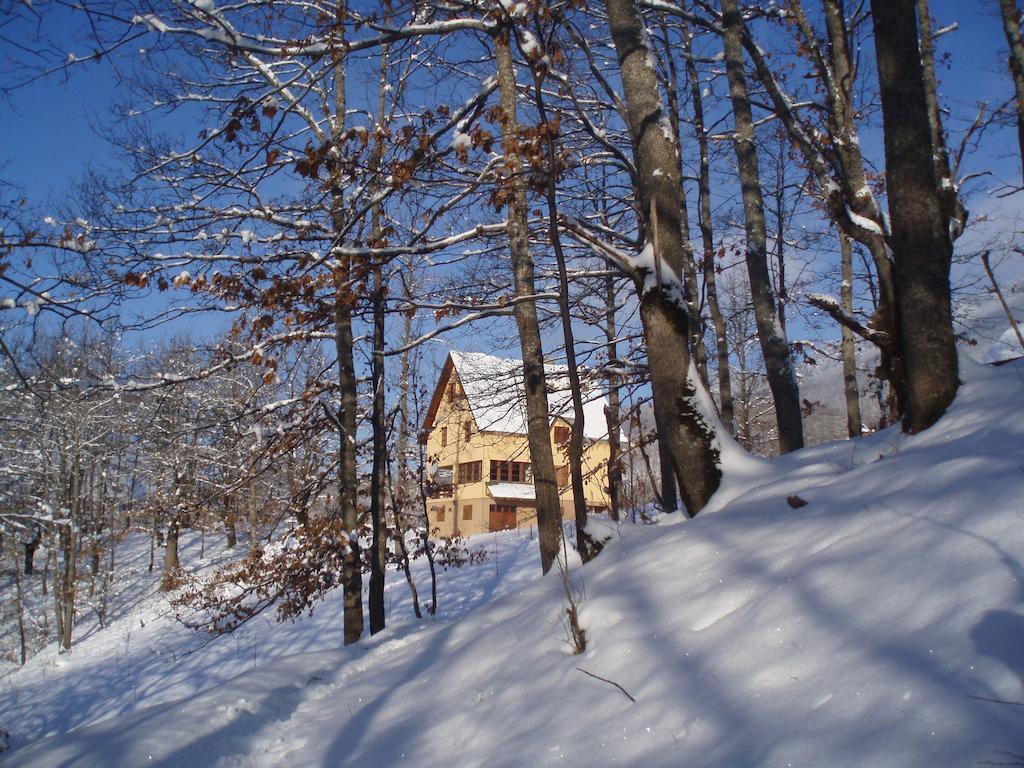 Guest House Tara Canyon Pljevlja Buitenkant foto