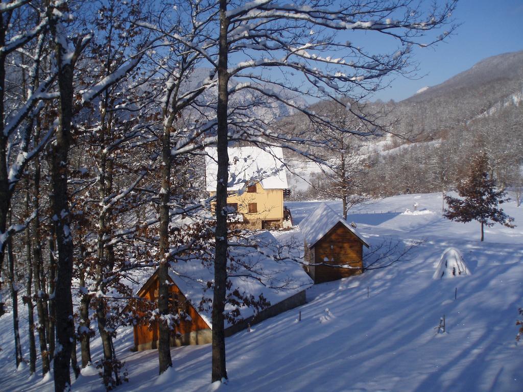 Guest House Tara Canyon Pljevlja Buitenkant foto