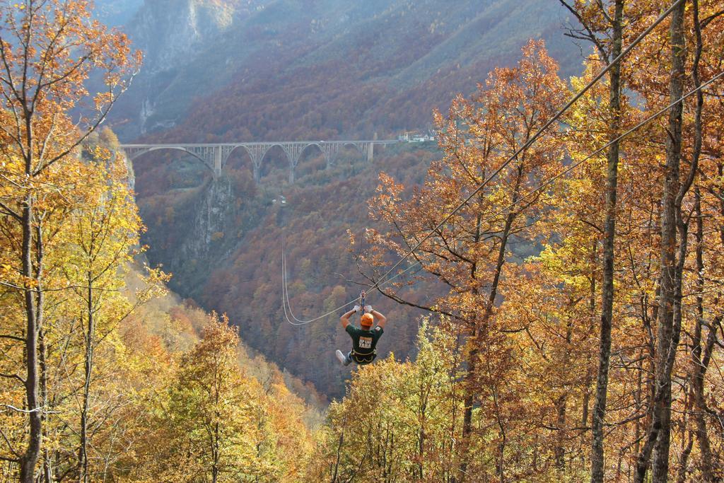 Guest House Tara Canyon Pljevlja Buitenkant foto